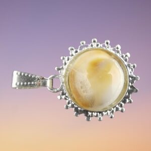 Gomti Chakra Pandent